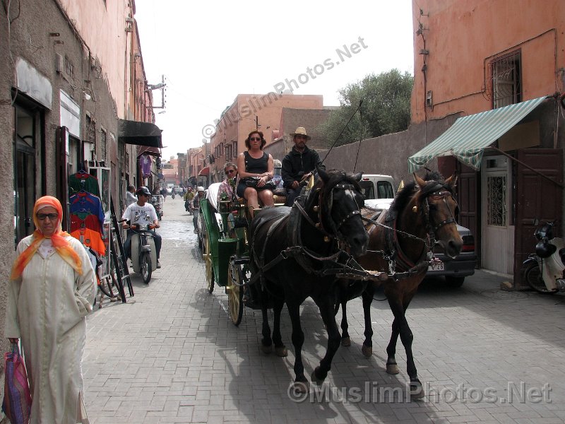 Horse carriage