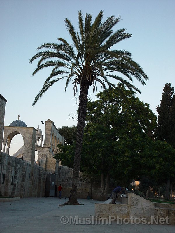 Al Aqsa