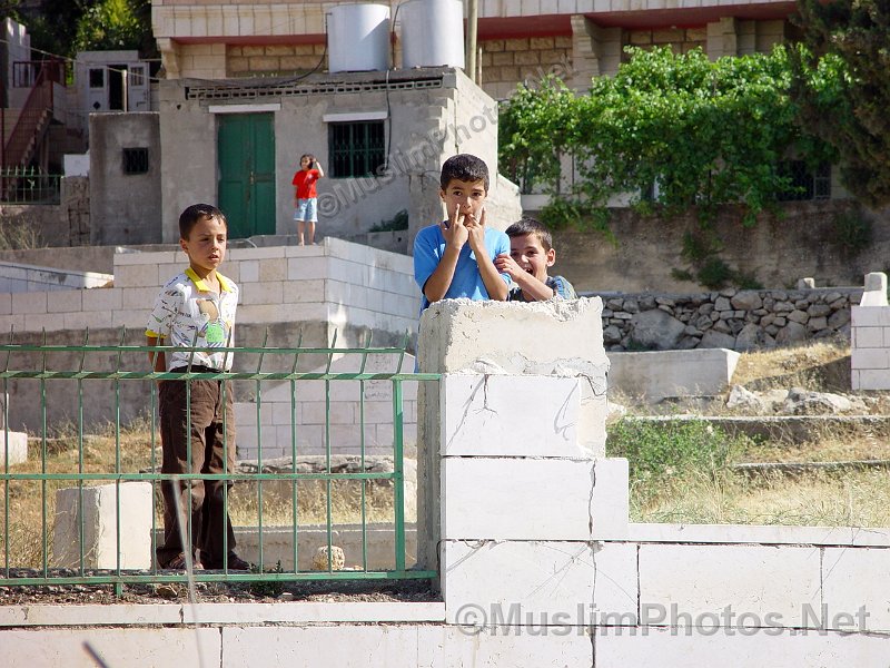 Kids throwing stones