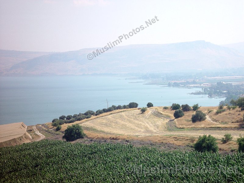 View of the Sea of Galilee from mount of the Beatitudes
